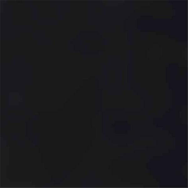 Tajice WT Long Tights Regular black