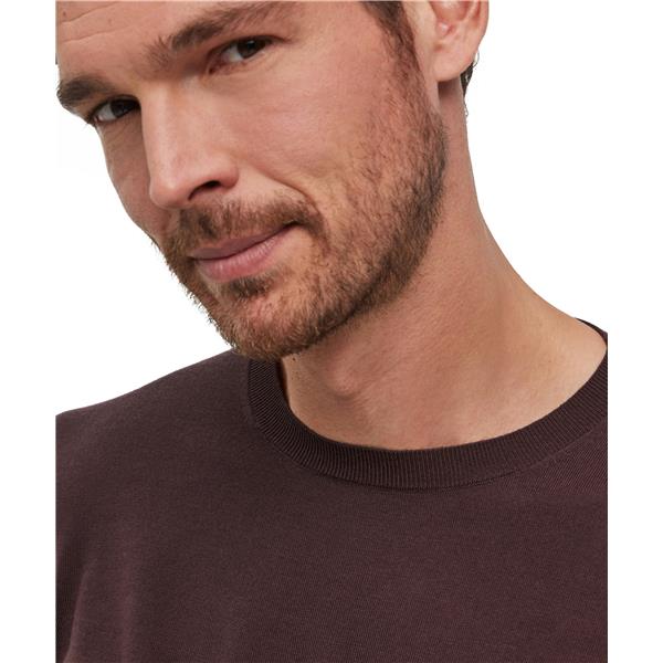 Moški pulover FALKE Premium Merino Wool Pullover dark choco