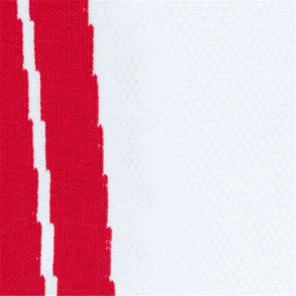 Nogavice FALKE SK5 Expert Men Men Skiing Knee-High Socks FF-
