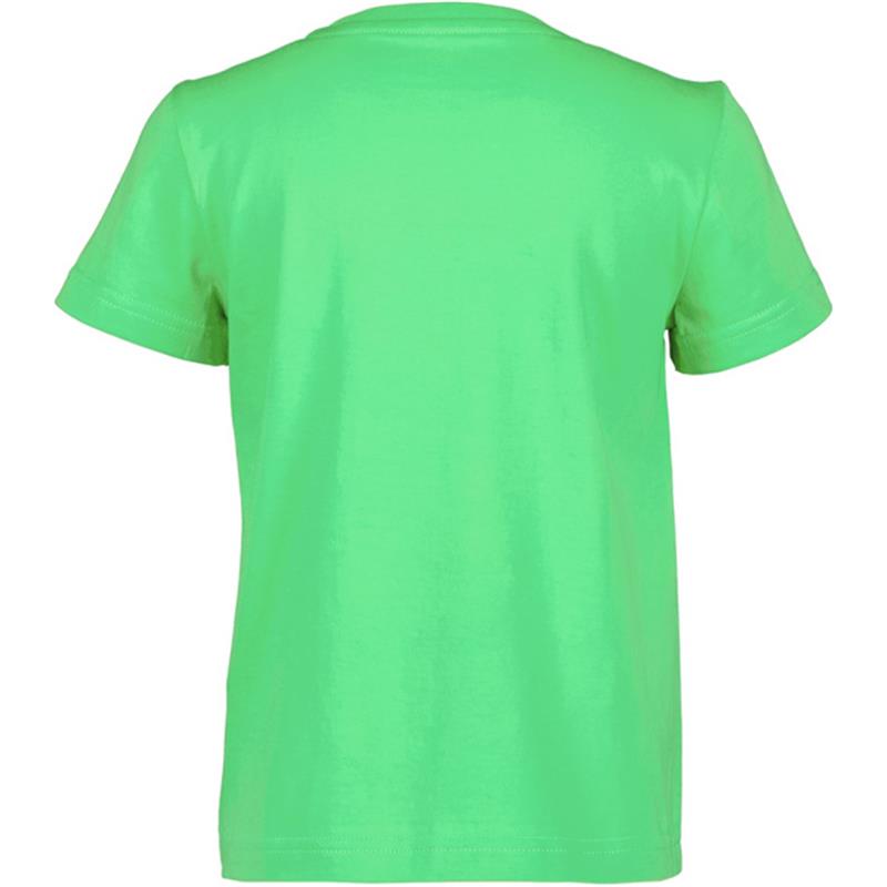 Otroška majica MYNTA KIDS T-SHIRT 2 Frog Gr