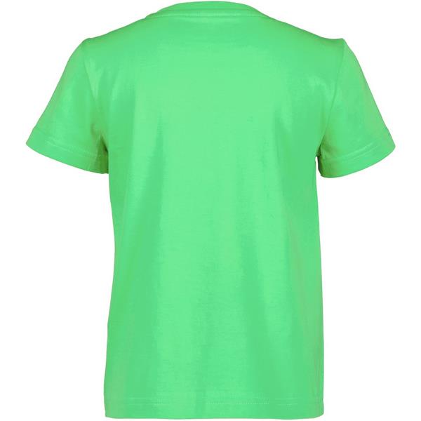 Otroška majica MYNTA KIDS T-SHIRT 2 Frog Gr