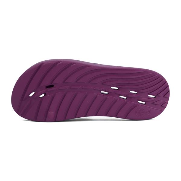Ženski natikači SPEEDO SLIDE PURPLE
